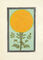 A beloved flower in Indian cultures, the marigold is a symbol of joy, prosperity, and a link between the earthly and divine.