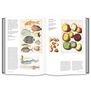 The Art of the Illustrated Book