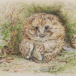 Beatrix Potter: Drawn to Nature